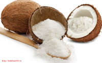 [ Chuyên gia] Bạn hãy đọc thật kỹ về tất cả về Dầu dừa ở đây trước khi sử dụng.