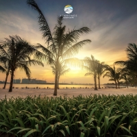 12 LÝ DO LIÊN CHỌN MUA CHUNG CƯ Ở VINHOMES OCEAN PARK