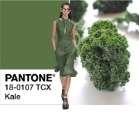 Xanh kale màu hot của năm 2017 - mặc sao cho đẹp