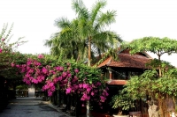 Chọn resort quanh Hà Nội phù hợp cho ngày nghỉ cuối tuần