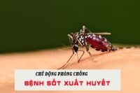 8 bí kíp để không còn lo về bệnh sốt xuất huyết