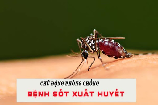 8 bí kíp để không còn lo về bệnh sốt xuất huyết